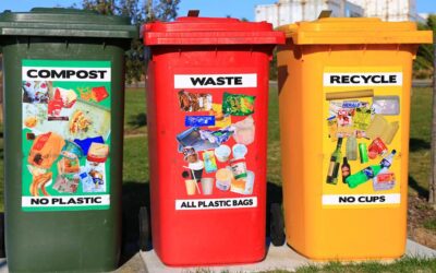 What Are The 3 Types Of Bins In Ballina