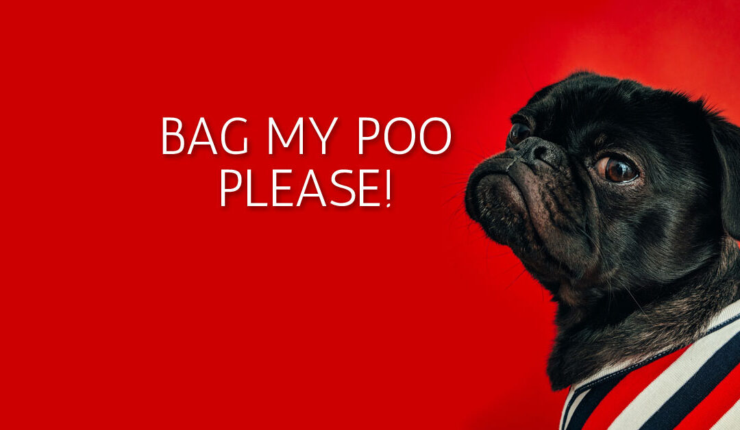 Can I Put Dog Poo In My Wheelie Bin