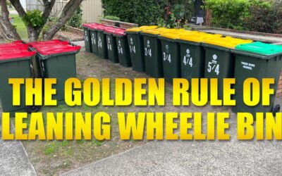 Our Golden Rule For Wheelie Bin Cleaning