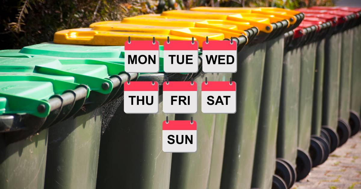 Cleaning Your Bins On Alternate Weeks