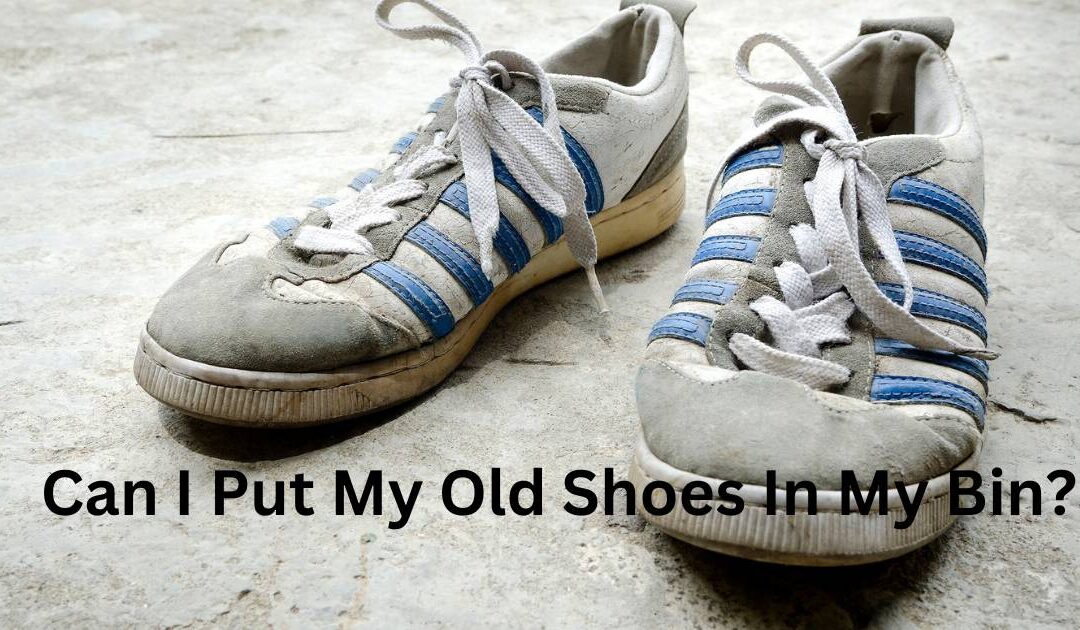 Can I Put My Old Trainers In My Bin?