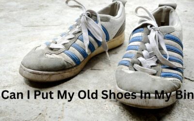 Can I Put My Old Trainers In My Bin?