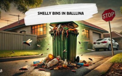 Why Smelly Bins Are More Than Just a Nuisance in Ballina – And How to Fix It!